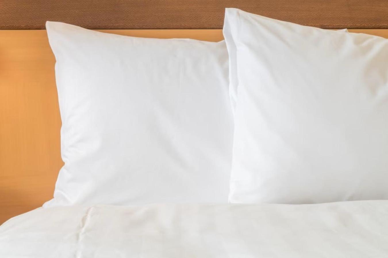 Holiday Inn - Clarksville Northeast By Ihg 외부 사진